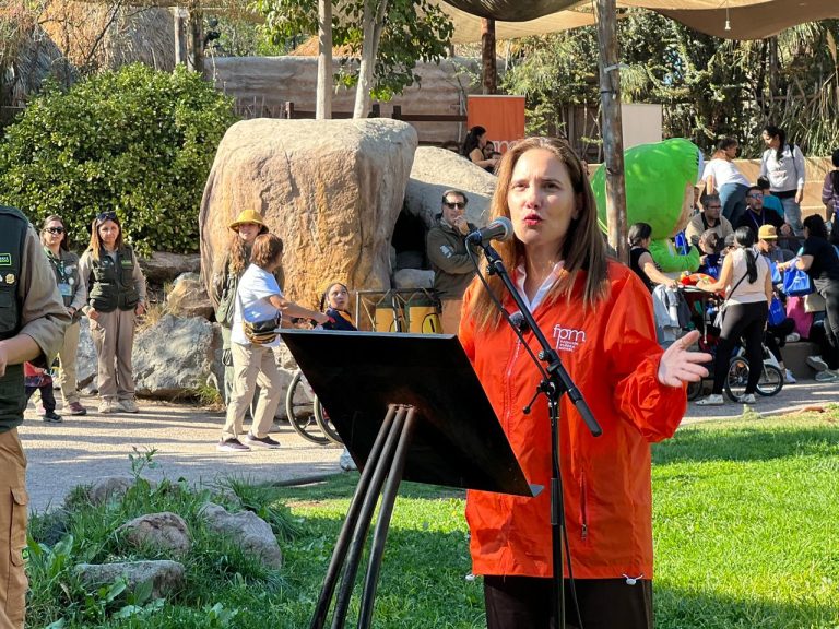 WhatsApp Image 2026-04-01 at 15.12.27 (5)